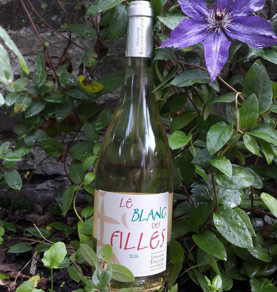 Découvrez Le Blanc des Filles 2016, sélection Bazar par Mon Vin Chez Vous. Finesse, originalité et consistance caractérisent ce Blanc de Noir 100% Merlot.