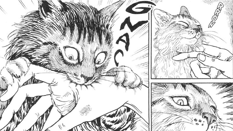 Le Journal Des Chats De Junji Ito