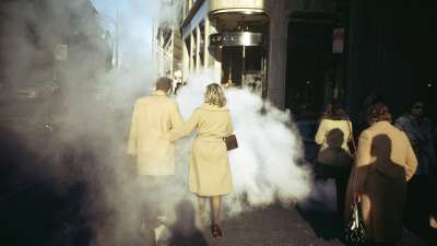 Meyerowitz