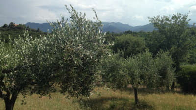 Pyrénées orientales