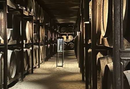Caves de la Quinta da Aveleda, fûts de vin alignés dans la pénombre
